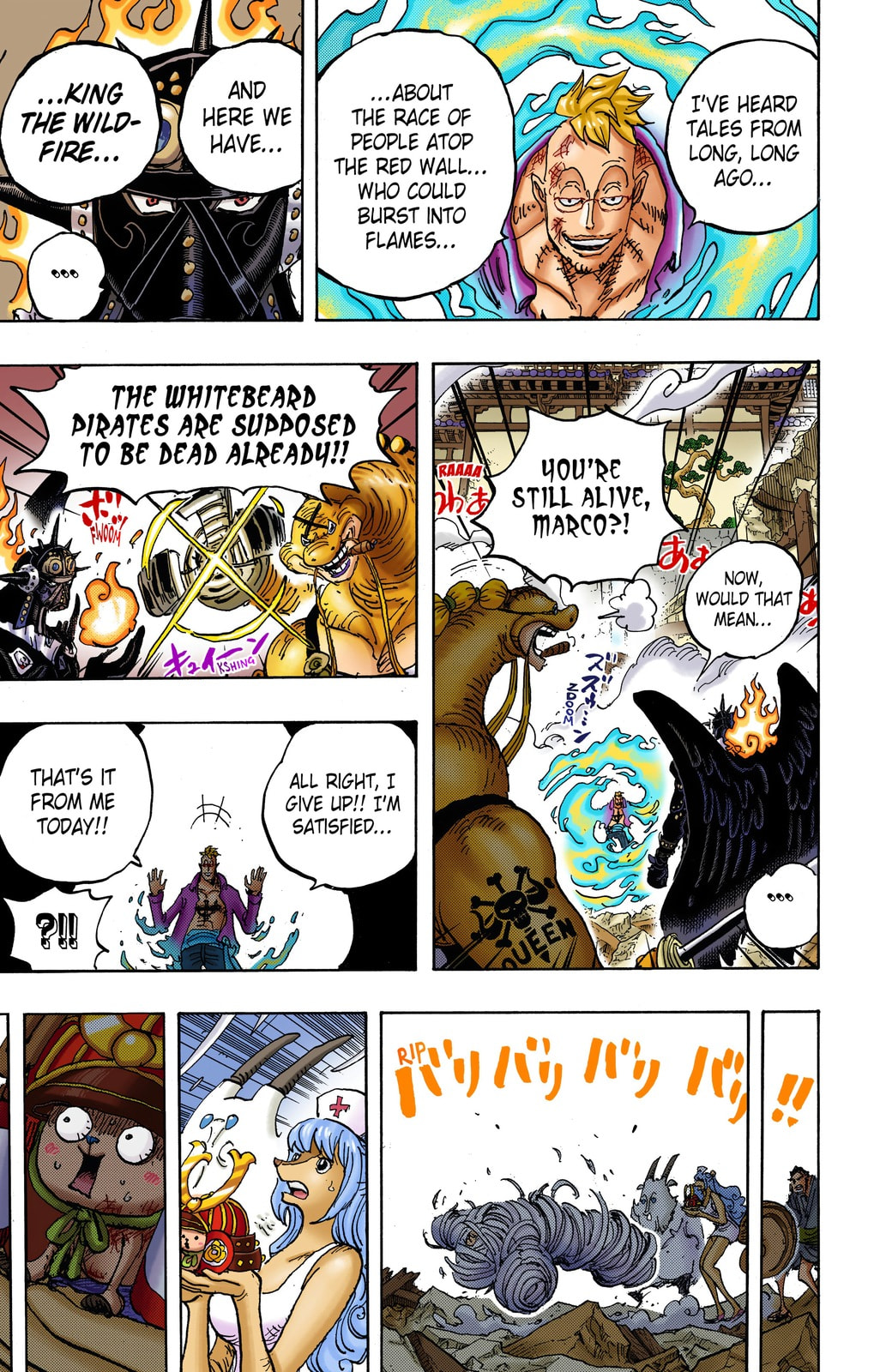 One Piece Digital Colored Chapter 1022 image 14